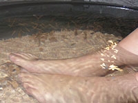 ホテルバリアンリゾートの足湯コーナーでエステフィッシュが無料で受けられる