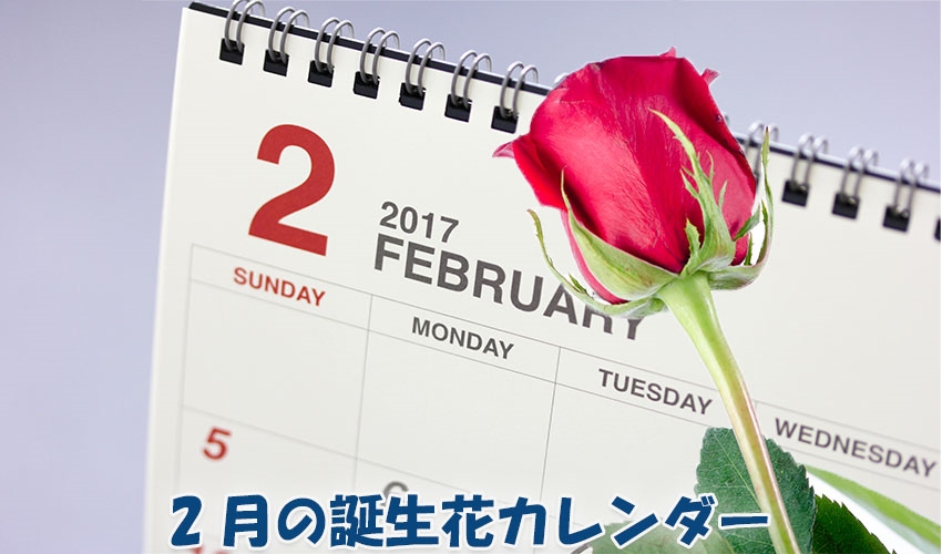 2月の誕生花カレンダー