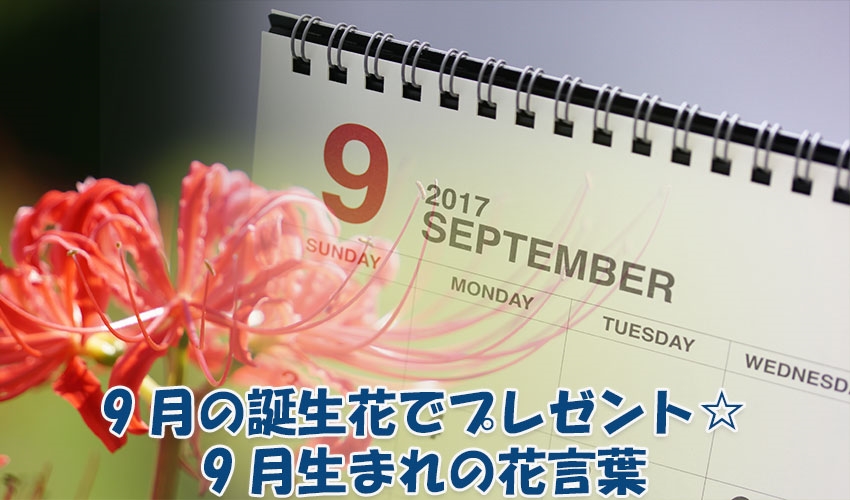 9月の誕生花カレンダー