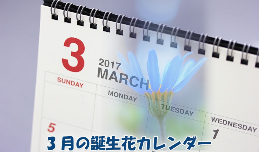 3月の誕生花カレンダー