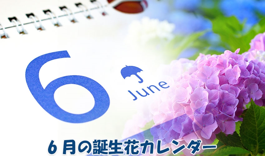 6月の誕生花カレンダー